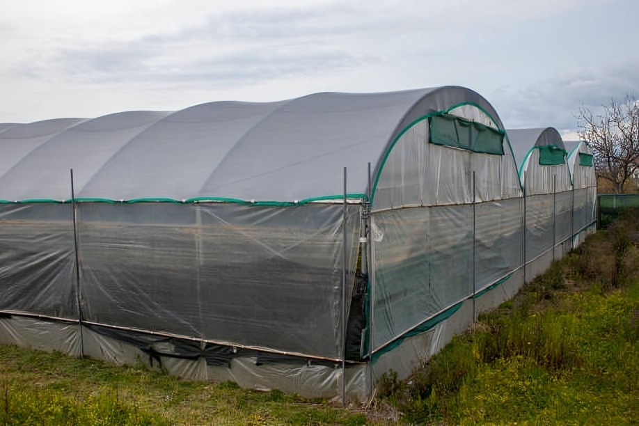 Polycarbonate Sheets Manufacturers in Bangalore-MOUNT ROOF